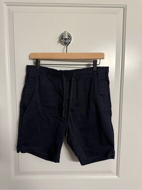 Express Men's Shorts